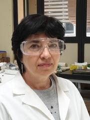 Marina Chernishova