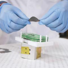 gloved hands working in lab