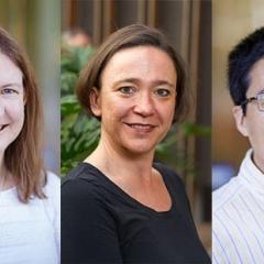 Professor Lianzhou Wang from the School of Chemical Engineering (pictured right) has been awarded $3.18m over five years for his next-generation solar technology research.